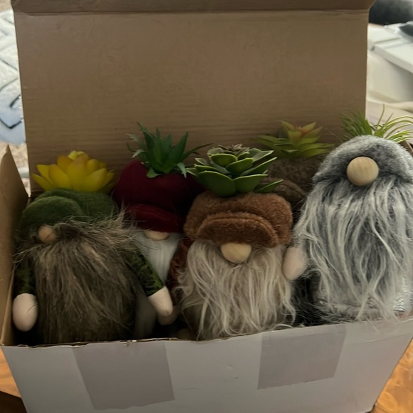 Box of a dozen garden gnomes with faux succulents - Picture 1 of 2